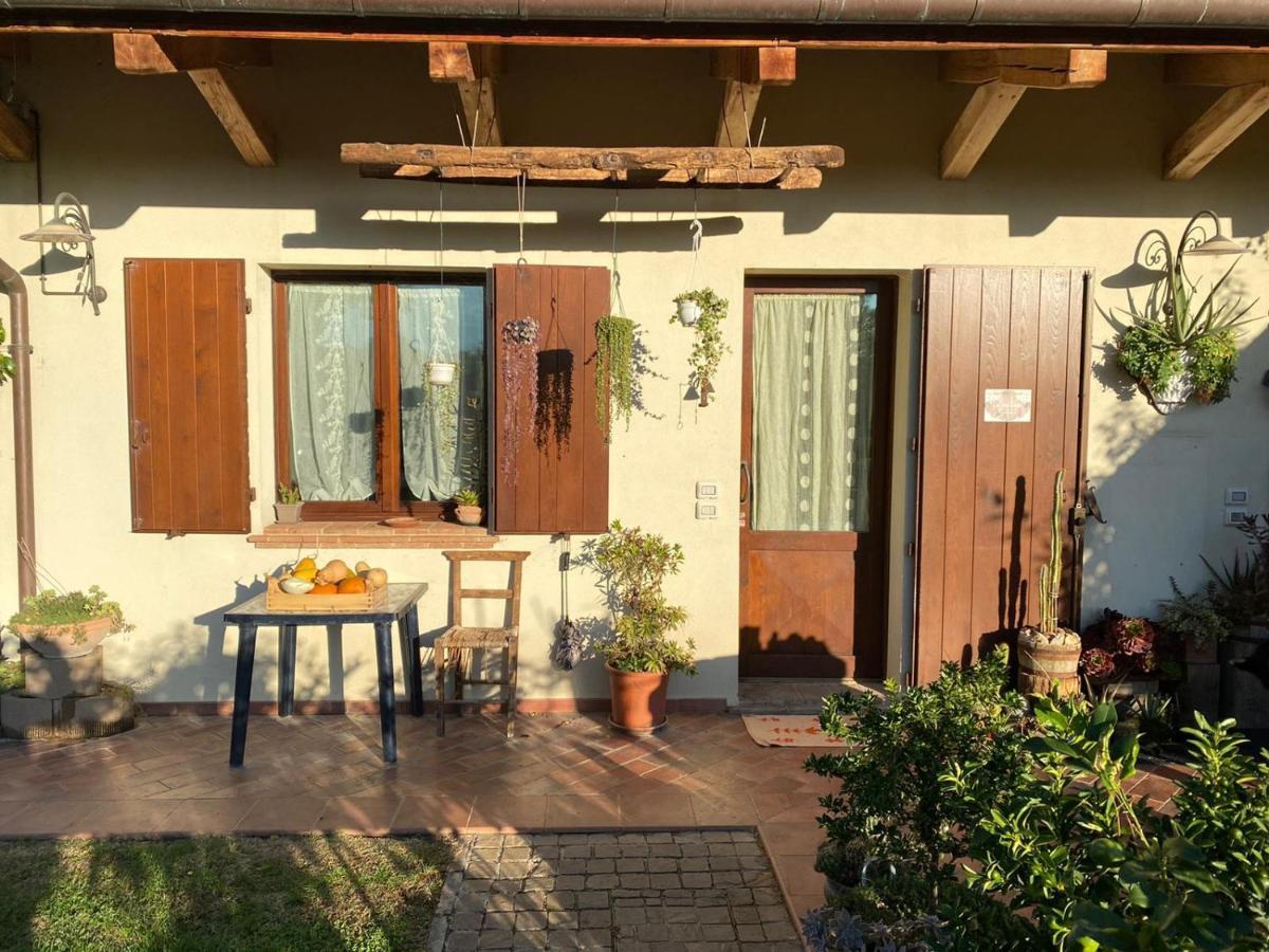 Ca' Dei Gelsi B & B Coriano Zewnętrze zdjęcie