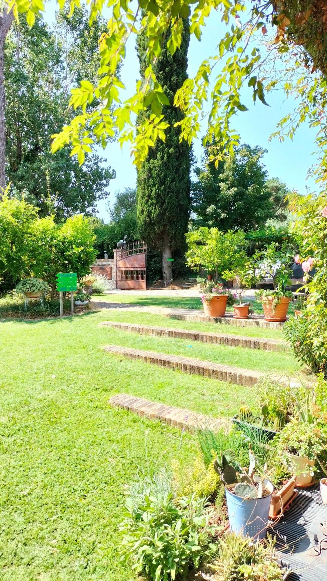 Ca' Dei Gelsi B & B Coriano Zewnętrze zdjęcie