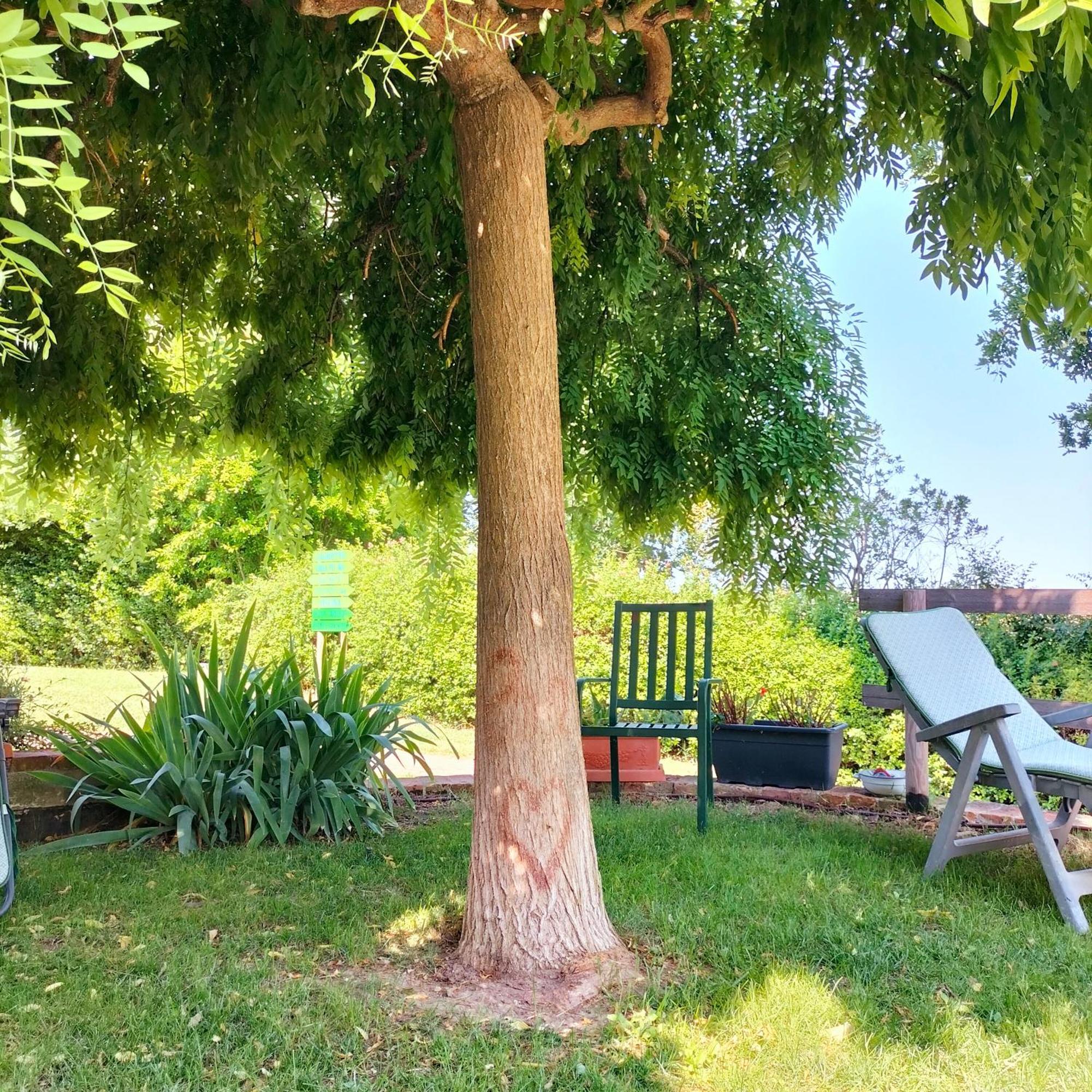 Ca' Dei Gelsi B & B Coriano Zewnętrze zdjęcie