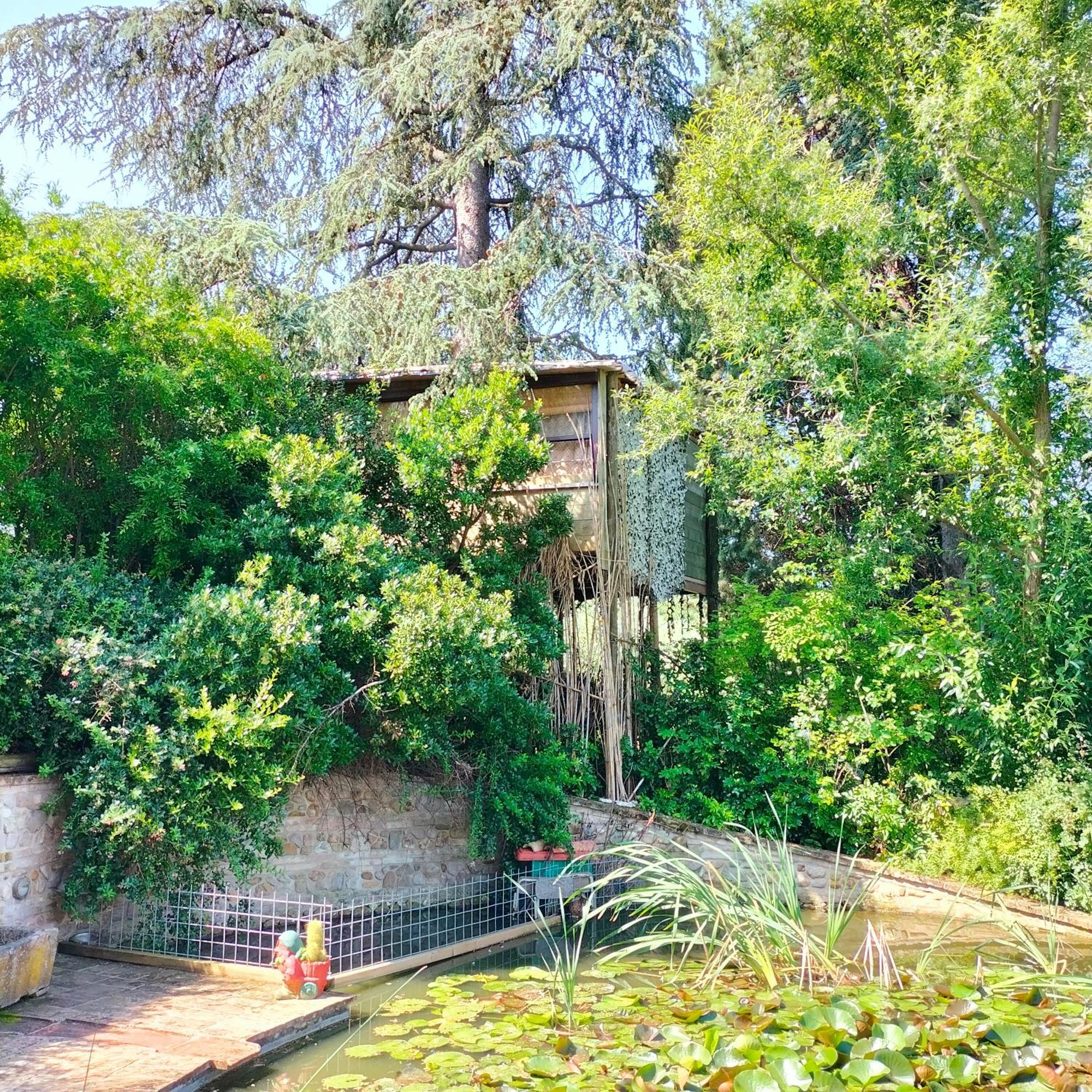 Ca' Dei Gelsi B & B Coriano Zewnętrze zdjęcie