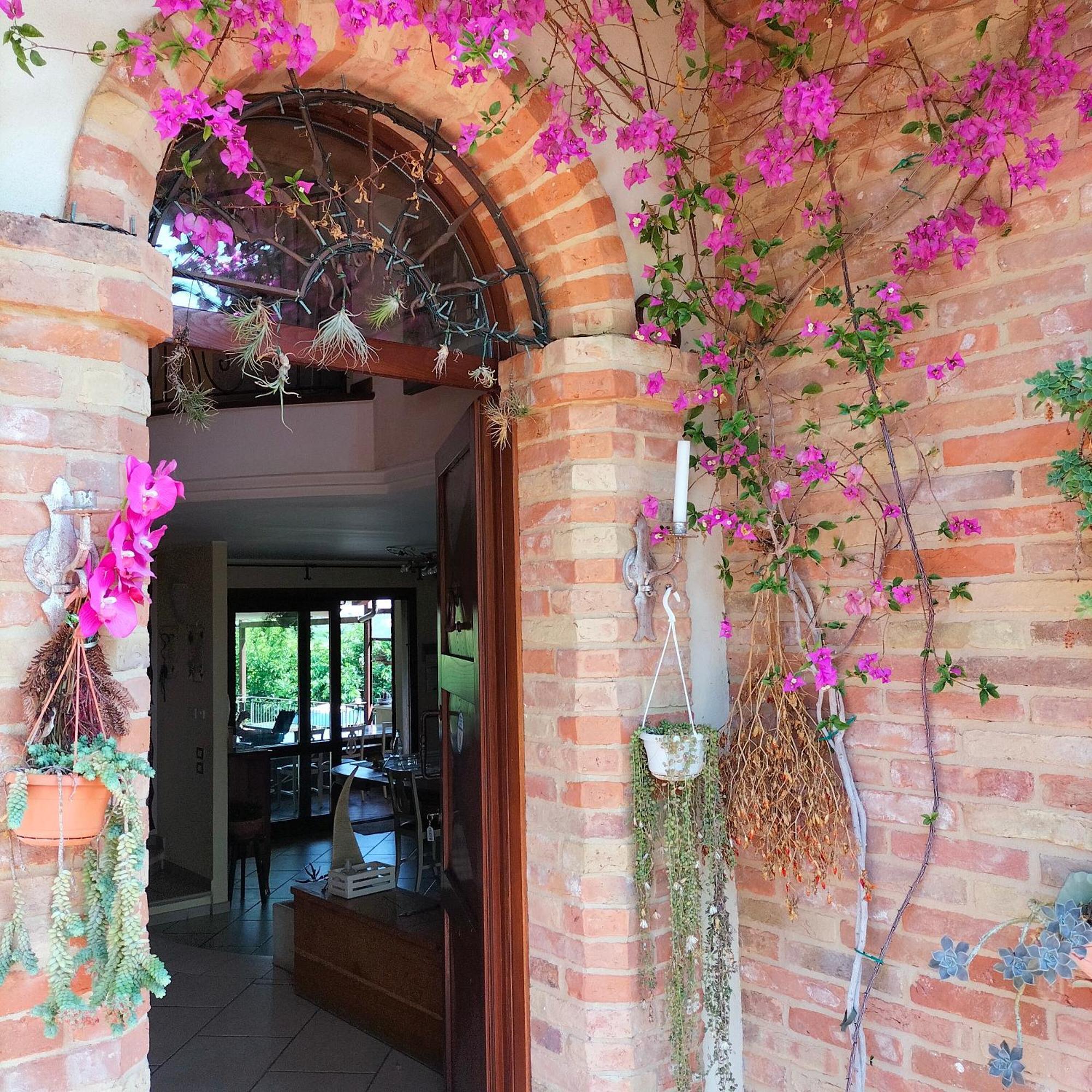 Ca' Dei Gelsi B & B Coriano Zewnętrze zdjęcie