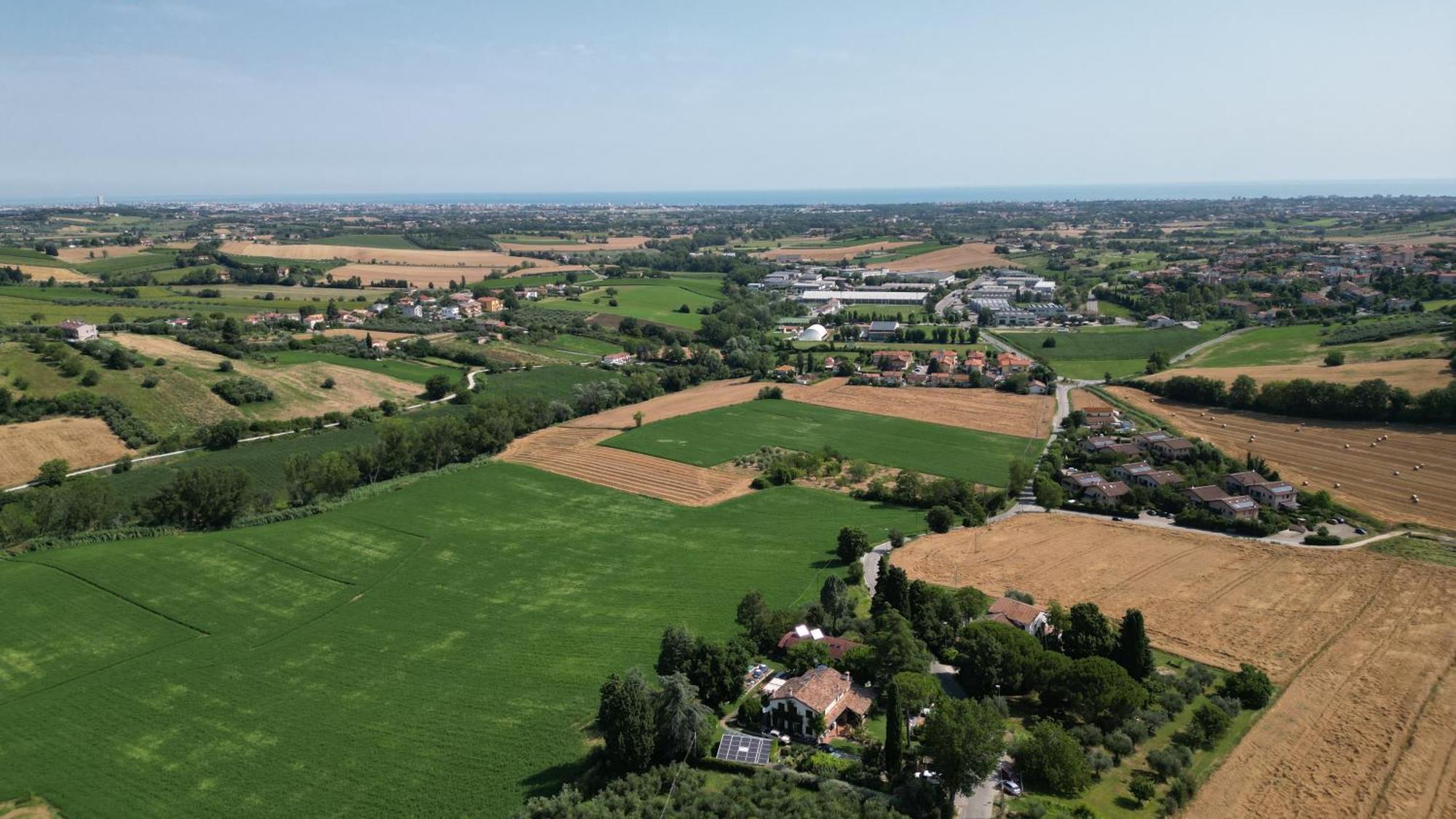 Ca' Dei Gelsi B & B Coriano Zewnętrze zdjęcie