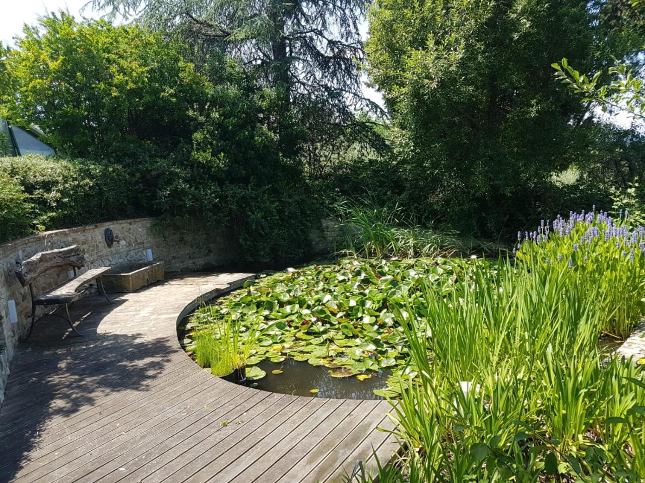 Ca' Dei Gelsi B & B Coriano Zewnętrze zdjęcie
