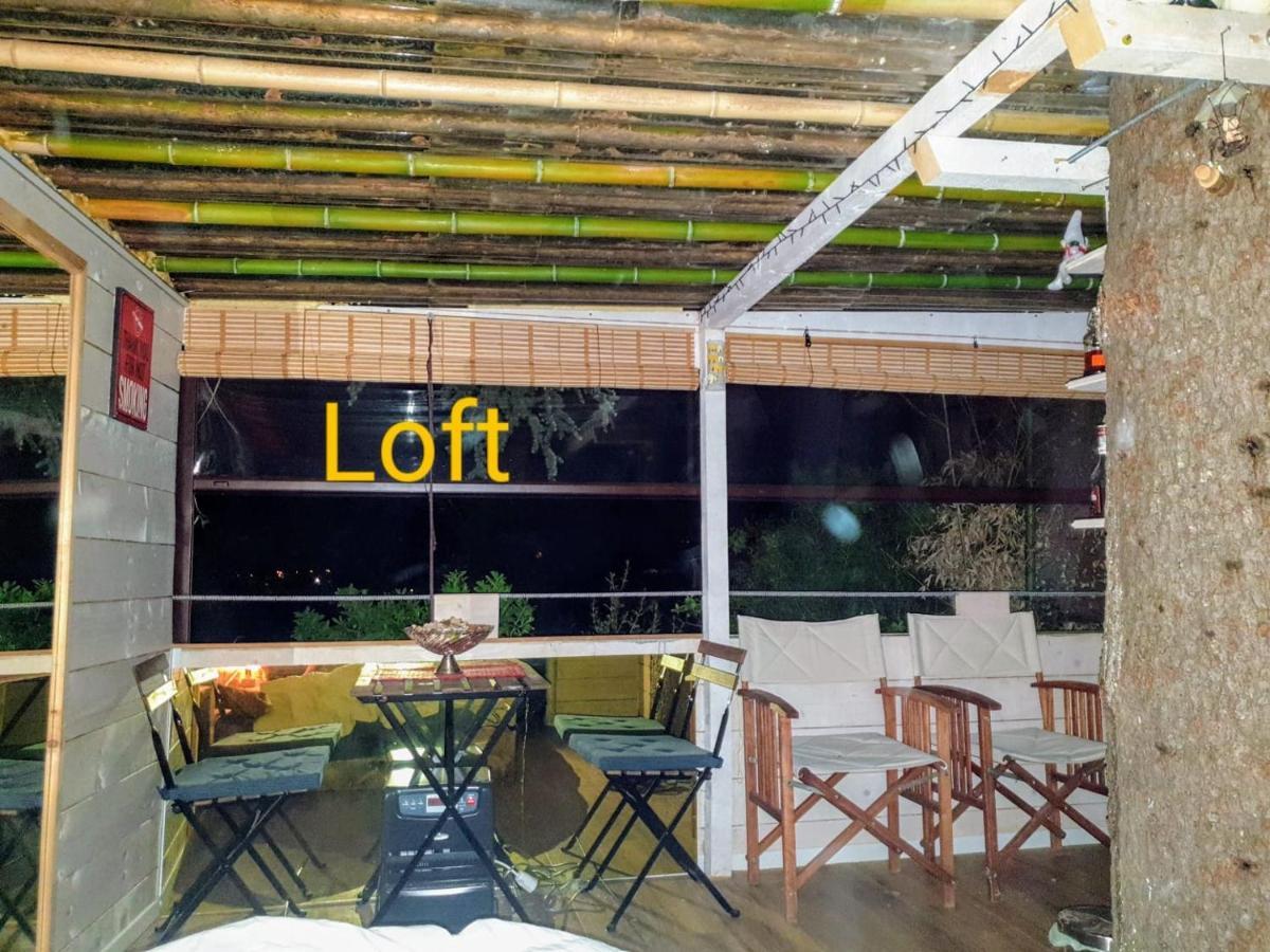 Ca' Dei Gelsi B & B Coriano Zewnętrze zdjęcie